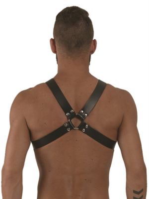 Mister B Leather Y-Front Harness