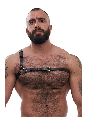 Mister B Serve Leather Style Harness Black