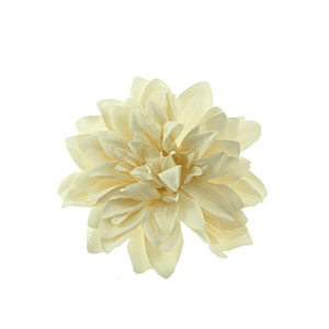Cream Chrysanthemum on Concord Clip & Brooch Pin