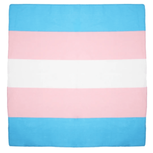 Transgender Flag Cotton Bandanas 53cm x 53cm