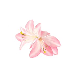 Baby Pink Lilies on Concord Clip & Brooch Pin
