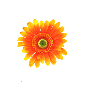 Orange Sunflowers on Concord Clip & Brooch Pin