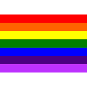 5 x 3 Feet Rainbow Flag with Brass Eyelets