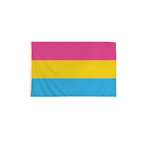 5 x 3 Feet Pansexual Flag with Brass Eyelets