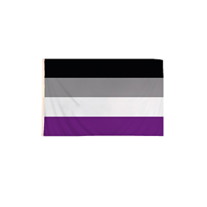 5 x 3 Feet Transgender Flag with Brass Eyelets