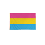 5 x 3 Feet Pansexual Flag with Brass Eyelets