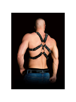 Andres Chest Harness