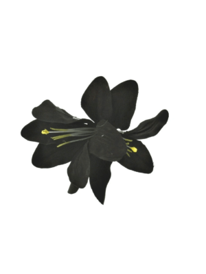 Black Lilies on Concord Clip & Brooch Pin