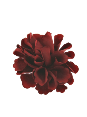 Burgundy Geum on Concord Clip & Brooch Pin