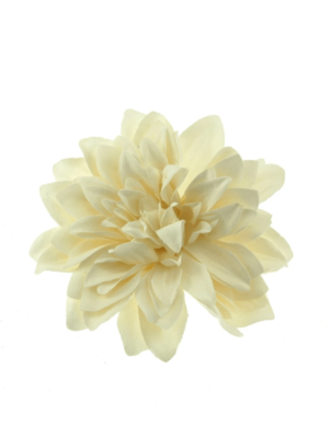 Cream Chrysanthemum on Concord Clip & Brooch Pin