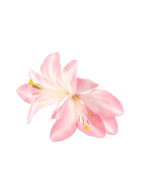 Baby Pink Lilies on Concord Clip & Brooch Pin