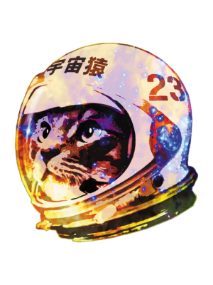 Astronaut Space Cat