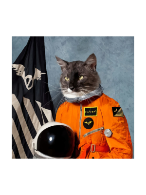 Cat in space suit
