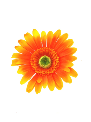 Orange Sunflowers on Concord Clip & Brooch Pin